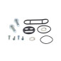 Kit reparación grifo de gasolina ALL BALLS para YAMAHA TT 225, XT 225 de 1992 a 2007