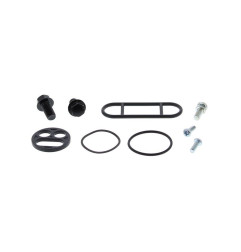 ALL BALLS Benzinhahn-Reparatursatz für ARCTIC CAT 400 2WD MANUAL TRANS., 400 4WD MANUAL TRANS., 500 4WD MANUAL TRANS. 1998-2000