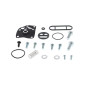 Kit reparación grifo de gasolina ALL BALLS para SUZUKI LT-A 500 VINSON AUTOMATIC 4WD, LT-F 250 OZARK 2WD, LT-F 500 VINSON 4WD