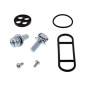 ALL BALLS Kraftstoffhahn-Reparatursatz für KAWASAKI KDX 200, KDX 220 1989-2006 ALL BALLS Kraftstoffhahn-Reparatursatz für KAWASAKI KDX 200, KDX 220 1989-2006