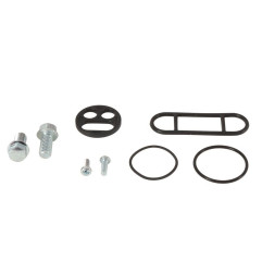 ALL BALLS fuel tap repair kit for KAWASAKI KLX 110 and SUZUKI DRZ 110 2002-2009