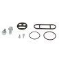 Kit reparación grifo de gasolina ALL BALLS para KAWASAKI KLX 110 y SUZUKI DRZ 110 de 2002 a 2009