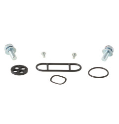ALL BALLS Benzinhahn-Reparatursatz für KAWASAKI KDX 250 1985-1993