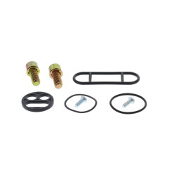 Kit de reparación de grifo de gasolina ALL BALLS para POLARIS OUTLAW 500, PREDATOR 500, SPORTSMAN 450, SPORTSMAN 500 HO
