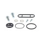 Kit réparation robinet de carburant ALL BALLS pour YAMAHA WRF 450 de 2007 à 2011 Kit réparation robinet de carburant ALL BALLS pour YAMAHA WRF 450 de 2007 à 2011