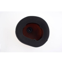 Kit de filtro de aire Powerflow TWIN AIR para HONDA CRF 250, CRF 450 de 2009 - 150220FR