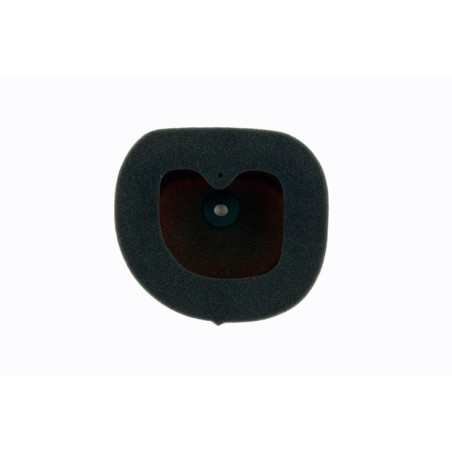 Filtro de aire TWIN AIR para YAMAHA WRF 250, WRF 450 de 2003 a 2015