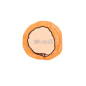 Cubrefiltro de aire TWIN AIR Grand Prix Cover para SHERCO SE 125, SE 250, SE 300, SEF 250, SEF 300 de 2025 a 2027