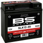 BS BATTERY Batterie SLA12-20 wartungsfrei fabrik activiert