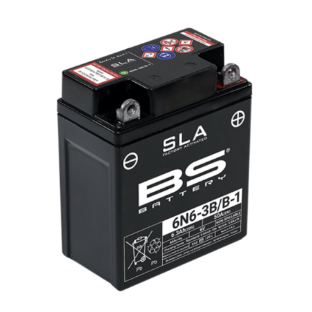 BS BATTERY AGM SLA vorgeladen – wartungsfrei - 6N6-3B/B-1 für YAMAHA DT 125, DT 125 MX, DT 250, XT 500 und KAWASAKI KE 100
