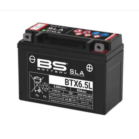 BS BATTERY battery