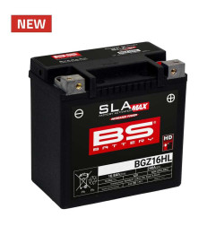 BS BATTERY battery for TGB BLADE 250, BLADE 325 LE 2X4 2006-2015