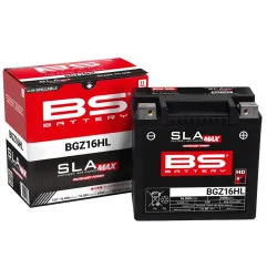 BS BATTERY Batterie für TGB BLADE 250, BLADE 325 LE 2X4 2006-2015