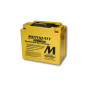 Batterie MOTOBATT pour YAMAHA YFM 600 GRIZZLY 4WD, YFM 660 GRIZZLY 4WD, HONDA TRX 650 FA FOURTRAX RINCON 4WD et KYMCO MXU 500