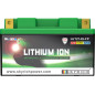 SKYRICH Lithium-Ionen-Batterie - LTZ14S für APRILIA DORSODURO 750, CF MOTO CL-X 700 SPORT, CAN-AM DS 250 und ARCTIC CAT DVX 300 SKYRICH Lithium-Ionen-Batterie - LTZ14S für APRILIA DORSODURO 750, CF MOTO CL-X 700 SPORT, CAN-AM DS 250 und ARCTIC CAT DVX 300