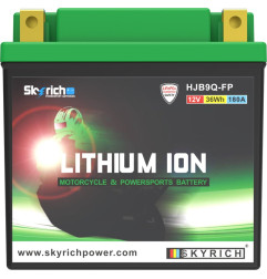 SKYRICH Batterie für APRILIA ETX 125, GILERA SP 01 125, DAELIM VS 125 und SUZUKI LT-F 160 QUADRUNNER 2WD 1983-2019
