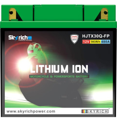 SKYRICH Batterie für POLARIS SPORTSMAN 500, SPORTSMAN 700, SPORTSMAN 800 und CF MOTO UFORCE 800, UFORCE 800 EPS T1 1996-2022
