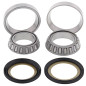 ALL BALLS Steering Bearing Kit with Seal