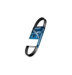 DAYCO Antriebsriemen für POLARIS PHOENIX 200, SAWTOOTH 200 und BETA EIKON 125 2000-2025 - CVT8136K