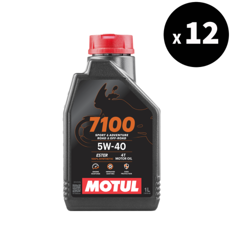 MOTUL 4-Takt-Motoröl