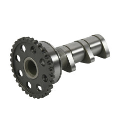 Arbol de levas HOT CAMS - Stage 1 para YAMAHA YFZ 450 de 2020