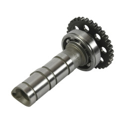 Arbol de levas HOT CAMS - Stage 1 para YAMAHA YFZ 450 de 2020