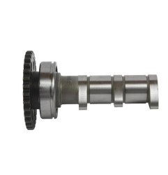 Arbre à cames admission HOT CAMS - Niveau 1 pour YAMAHA YFZ 450 de 2020