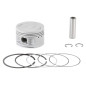 PROX Casted Piston for YAMAHA YFM 350 GRIZZLY 2WD, YFM 350 GRIZZLY 4WD, YFM 350 RAPTOR 2WD, YFM 350 WARRIOR 2WD 1988-2014 PROX Casted Piston for YAMAHA YFM 350 GRIZZLY 2WD, YFM 350 GRIZZLY 4WD, YFM 350 RAPTOR 2WD, YFM 350 WARRIOR 2WD 1988-2014