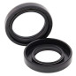 Kit retenes de cigüeñal ALL BALLS para YAMAHA YFS 200 BLASTER 2WD de 1990 a 2006 Kit retenes de cigüeñal ALL BALLS para YAMAHA YFS 200 BLASTER 2WD de 1990 a 2006