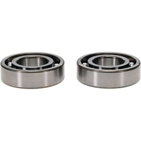 ALL BALLS Kurbelwellenlager-Kit für YAMAHA TTR 50, YFM 125 GRIZZLY 2WD 2004-2027