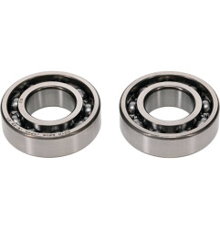 ALL BALLS Kurbelwellenlager-Kit für YAMAHA TTR 50, YFM 125 GRIZZLY 2WD 2004-2027