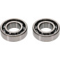 Kit roulements de vilebrequin ALL BALLS pour YAMAHA TTR 50, YFM 125 GRIZZLY 2WD de 2004 à 2027