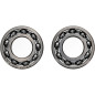 Kit rodamientos de cigüeñal ALL BALLS para YAMAHA TTR 50, YFM 125 GRIZZLY 2WD de 2004 a 2027
