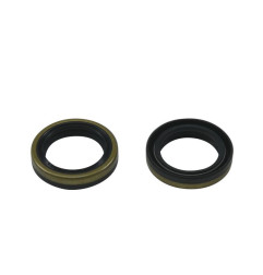 Kit retenes de cigüeñal ALL BALLS para BETA EVO 125, EVO 200, EVO 250, EVO 290, EVO 300 y YAMAHA YFM 250 BEAR TRACKER 2WD