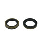 Kit joints spi de vilebrequin ALL BALLS pour BETA EVO 125, EVO 200, EVO 250, EVO 290, EVO 300 et YAMAHA YFM 250 BEAR TRACKER 2WD