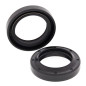 ALL BALLS Kurbelwellen-Simmerring-Kit für POLARIS TRAIL BLAZER 250, TRAIL BOSS 250, XPLORER 250, XPLORER 300, XPRESS 300