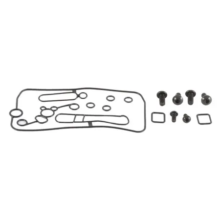 ALL BALLS Carburetor Repair Kit for HONDA TRX 450 R SPORTRAX ELECTRIC START 2WD, KAWASAKI KXF 250 and SUZUKI RMZ 250 2002-2014