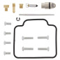 ALL BALLS Carburetor Repair Kit for POLARIS MAGNUM 330, TRAIL BOSS 330 2003