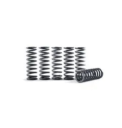 Ressort de rechange pour KIT embrayage HINSON pour HONDA CR 250, CRF 450, CRF 450 X et KTM EXC 250, EXC 300, SX 250