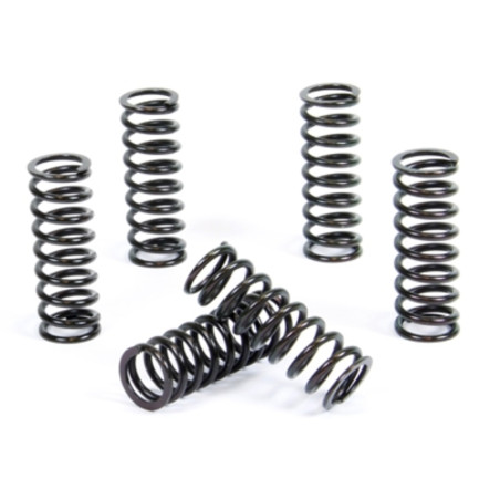 PROX Kupplungsfeder Kit für SUZUKI LT-R 450 QUADRACER 2WD, RM 250 2006-2011
