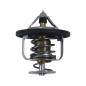 Termostato ALL BALLS para POLARIS GENERAL 1000 EPS PREMIUM, GENERAL 1000 EPS SPORT, RZR XP 1000 HIGH LIFTER, RZR XP 1000 PREMIUM