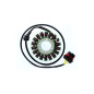 ELECTROSPORT Stator ESG 306 CAN AM for CAN-AM OUTLANDER 650, OUTLANDER 650 EFI XMR, OUTLANDER 650 EFI XT, RENEGADE 1000 EFI XXC