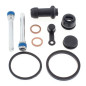Kit de réparation d'étrier de frein ALL BALLS pour HONDA TRX 300 EX SPORTRAX 2WD, TRX 400 EX SPORTRAX 2WD de 1993 à 2012