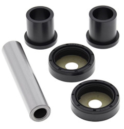 Kit pivot de fusée ALL BALLS pour SUZUKI LT 50 QUADRUNNER 2WD et KAWASAKI KFX 50 de 1984 à 2006