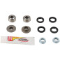 Kit de Cojinetes de Amtortiguador PIVOT WORKS RAPTOR '02-05 para YAMAHA YFM 660 RAPTOR 2WD de 2001 a 2005