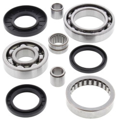 ALL BALLS Hinterachsdifferenzial Lager & Dichtungssatz für KAWASAKI KVF 300 PRAIRIE 2WD, KVF 300 PRAIRIE 4WD 1999-2002