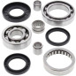ALL BALLS Hinterachsdifferenzial Lager & Dichtungssatz für KAWASAKI KVF 300 PRAIRIE 2WD, KVF 300 PRAIRIE 4WD 1999-2002