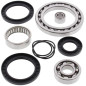 Kit rodamientos y retenes de diferencial trasero ALL BALLS para YAMAHA YFM 660 GRIZZLY 4WD y CF MOTO CF 500 RANCHER Kit rodamientos y retenes de diferencial trasero ALL BALLS para YAMAHA YFM 660 GRIZZLY 4WD y CF MOTO CF 500 RANCHER
