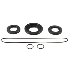 Kit retenes de diferencial trasero ALL BALLS para CAN-AM OUTLANDER 450 EFI DPS, OUTLANDER 570 EFI DPS, OUTLANDER 650 EFI XMR