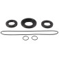 Kit retenes de diferencial trasero ALL BALLS para CAN-AM OUTLANDER 450 EFI DPS, OUTLANDER 570 EFI DPS, OUTLANDER 650 EFI XMR